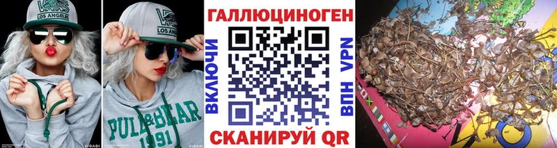 Псилоцибиновые грибы Psilocybine cubensis  Ессентуки 
